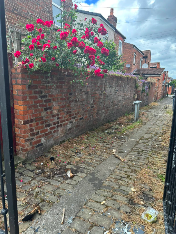 Alleyway fly-tip, Reddish after